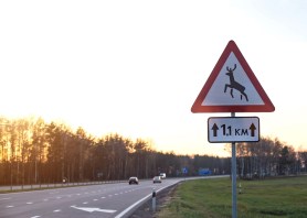 reindeer freeway california