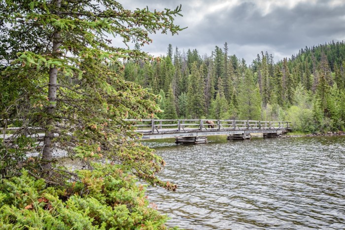 hikers bear bridge