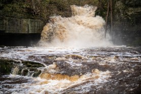 rescue baby flooded river California