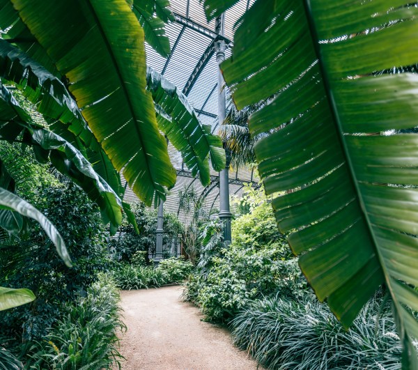 New Immersive Park Is Dedicated To Sloths