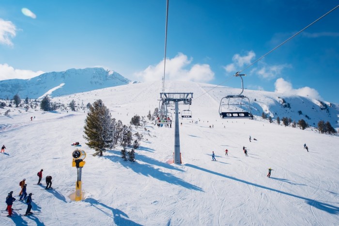 bears ski run