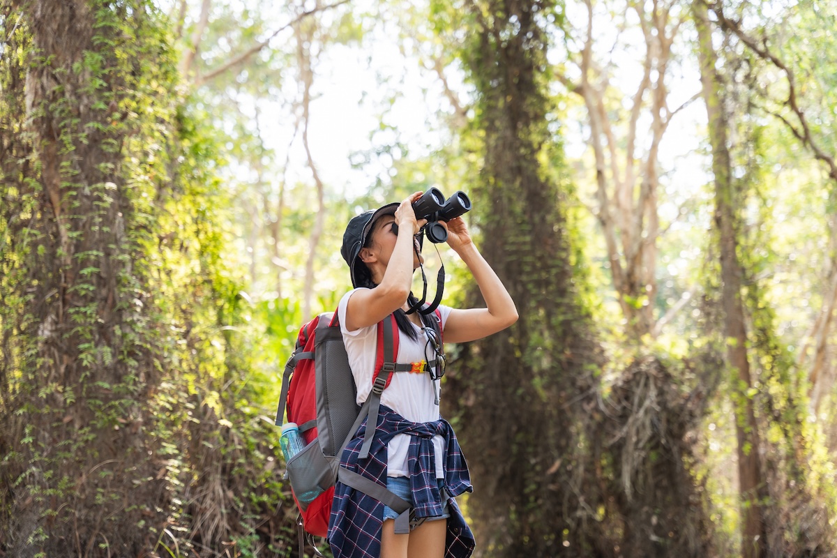 Great Backyard Bird Count
