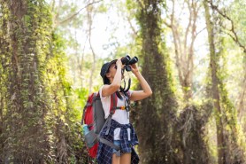 Great Backyard Bird Count