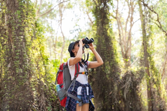Great Backyard Bird Count