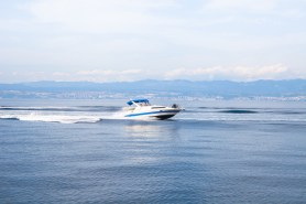 speed boat whale drone