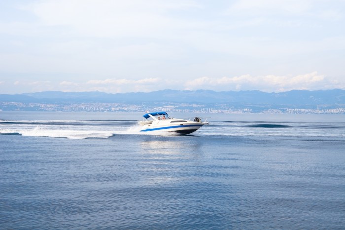 speed boat whale drone
