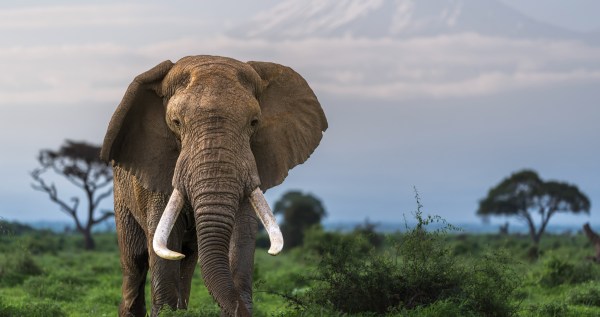 Man Shares His Distressing Discovery While Walking In Wildlife Habitat