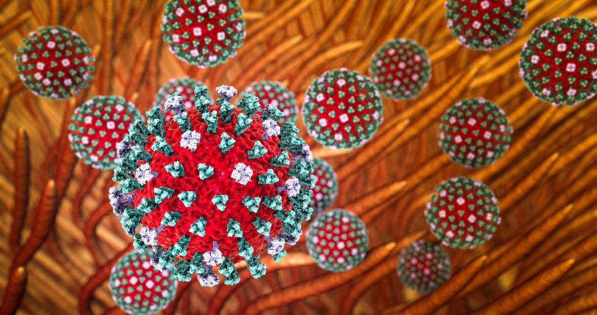 Popular Bay Area Park Closes After Experts Found Cases Of Bird Flu And Dead Animals