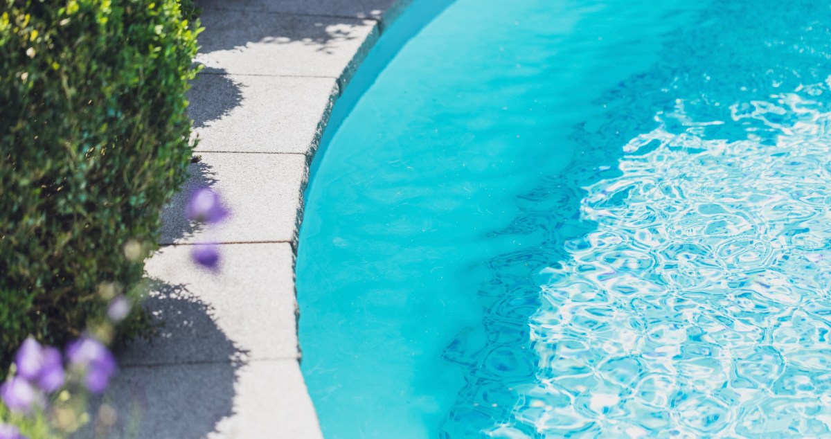 Rescuer Notices Exhausted Wild Animal Clinging To Edge Of A Pool