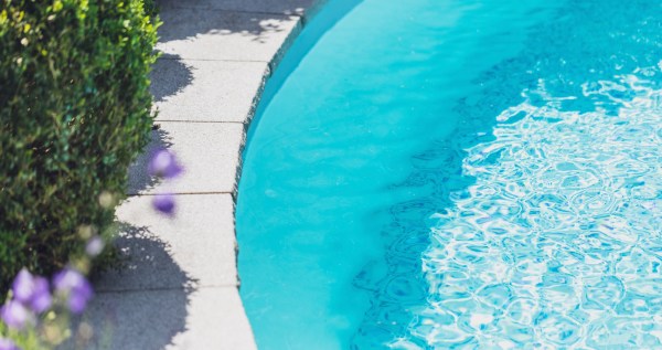 Rescuer Notices Exhausted Wild Animal Clinging To Edge Of A Pool