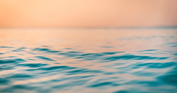 Reserachers Issue Warning Over These Creatures Infesting Waters Off The Northern Quebec Islands