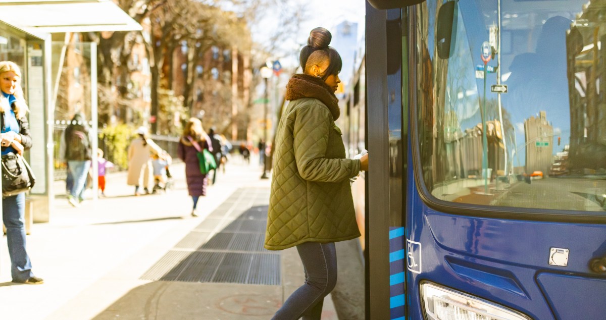 Wild Turkey Causes Traffic Jam At A Crosswalk In N.Y.C