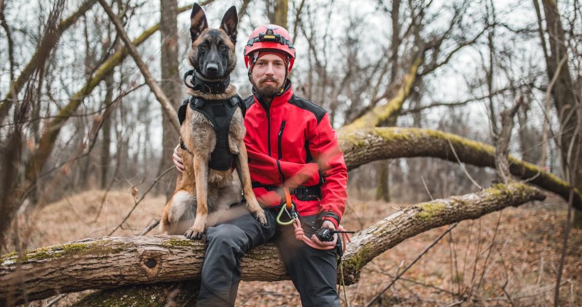 A Young Dog Fell Down A Cliff And Is Stranded For Over Two Hours Before Firefighters Rescued Him
