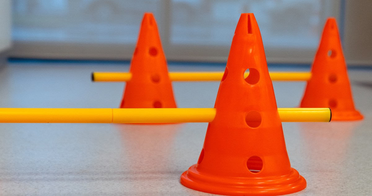 College Student Comes Up With Creative Way To Help Her Overweight Cat Lose Weight