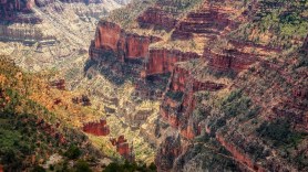 grand canyon reopens