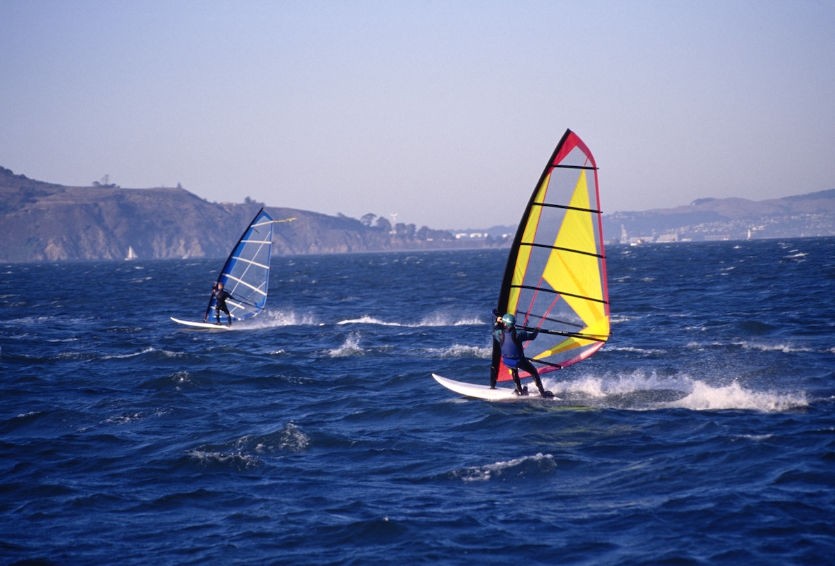 Windsurfing whale