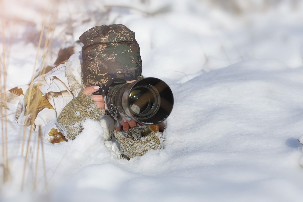 photographers snow leopard