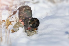 photographers snow leopard
