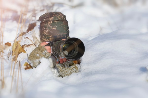 photographers snow leopard
