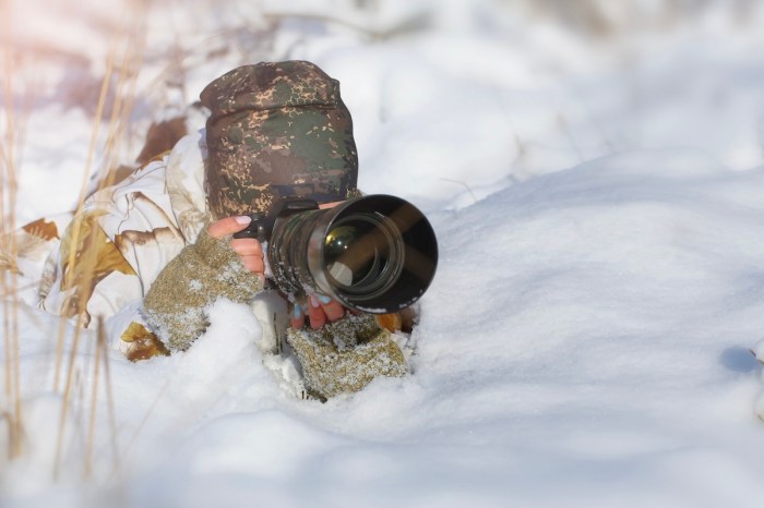 photographers snow leopard