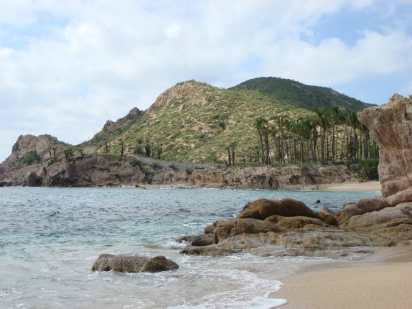beach cabo