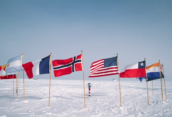 woman skis south pole