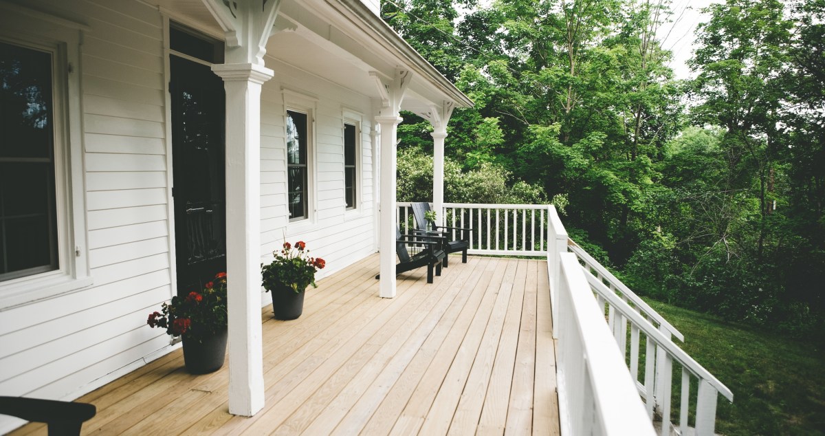 A Family In New Jersey Is Shocked To Discover A Family Of Bears Living Under Their Front Porch