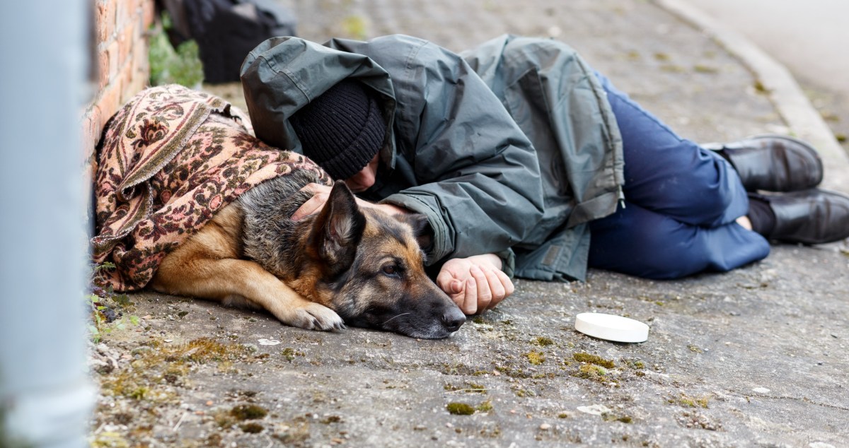 California Introduces Pet-Friendly Homeless Shelters To Help Get People Off The Street