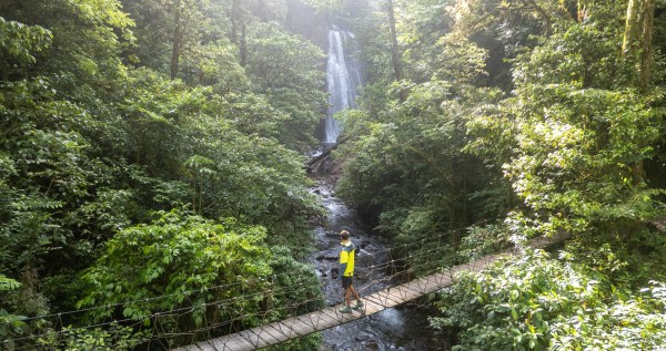 Costa Rica Wildlife Groups Find Major Faults With New Regulations