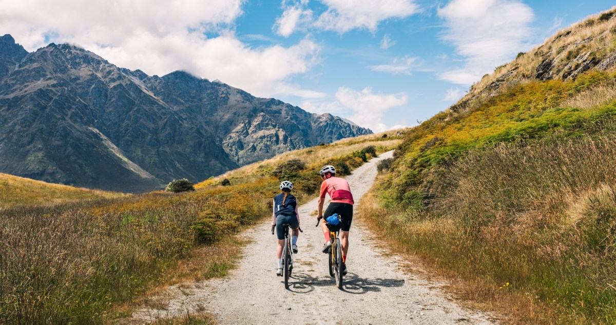 Experts Share What To Do When A Mountain Lion Starts To Follow You