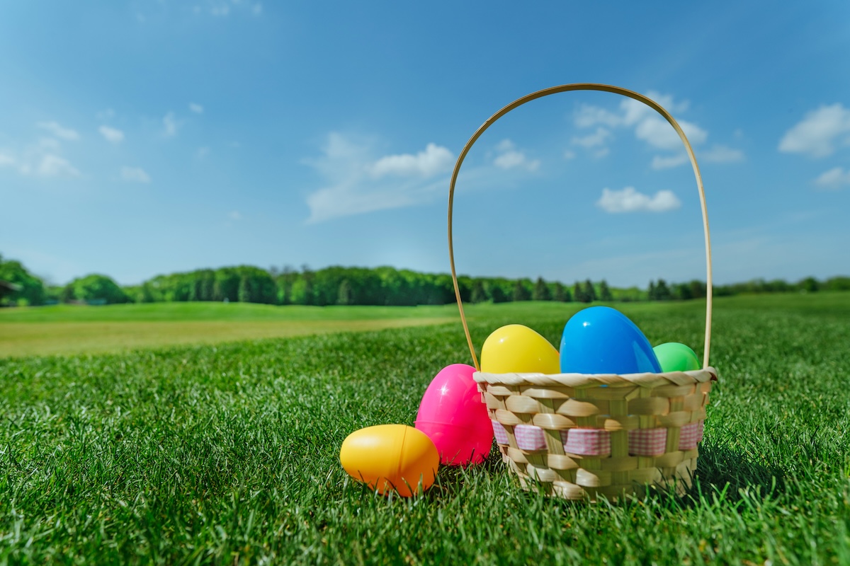 easter egg hunt human skull