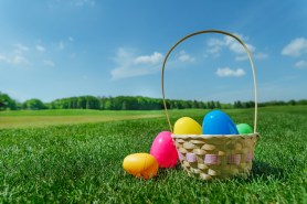 easter egg hunt human skull