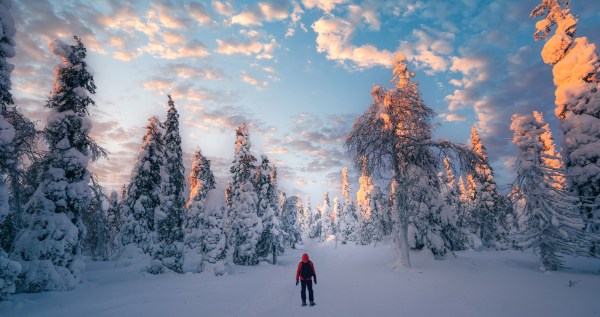 Teens Rescued From Mountain After Surviving In Harsh Conditions