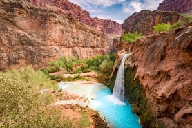 7 year old grand canyon