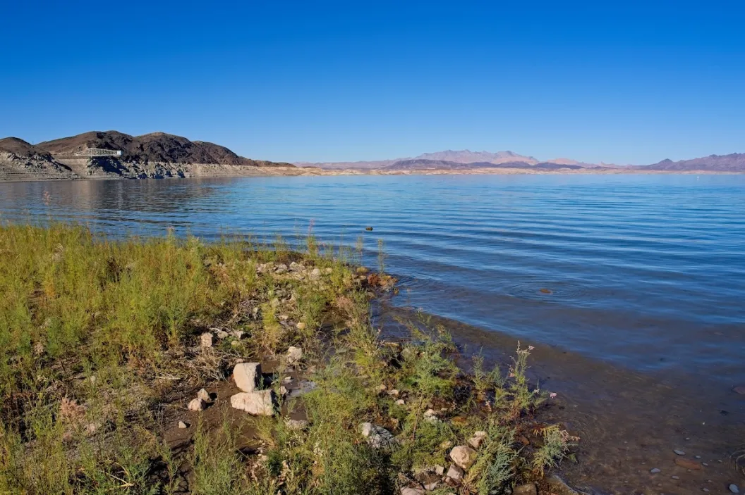 amoeba national parks