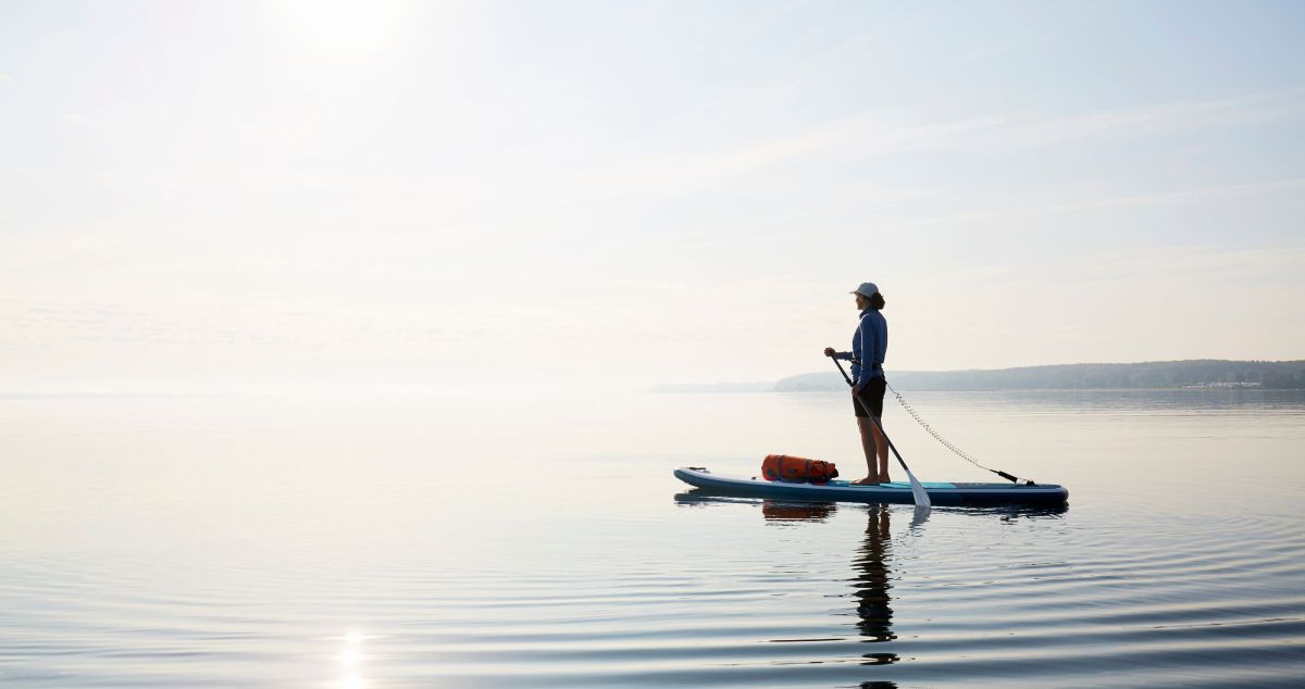 Iguana Swims Towards Paddleboarder for Help