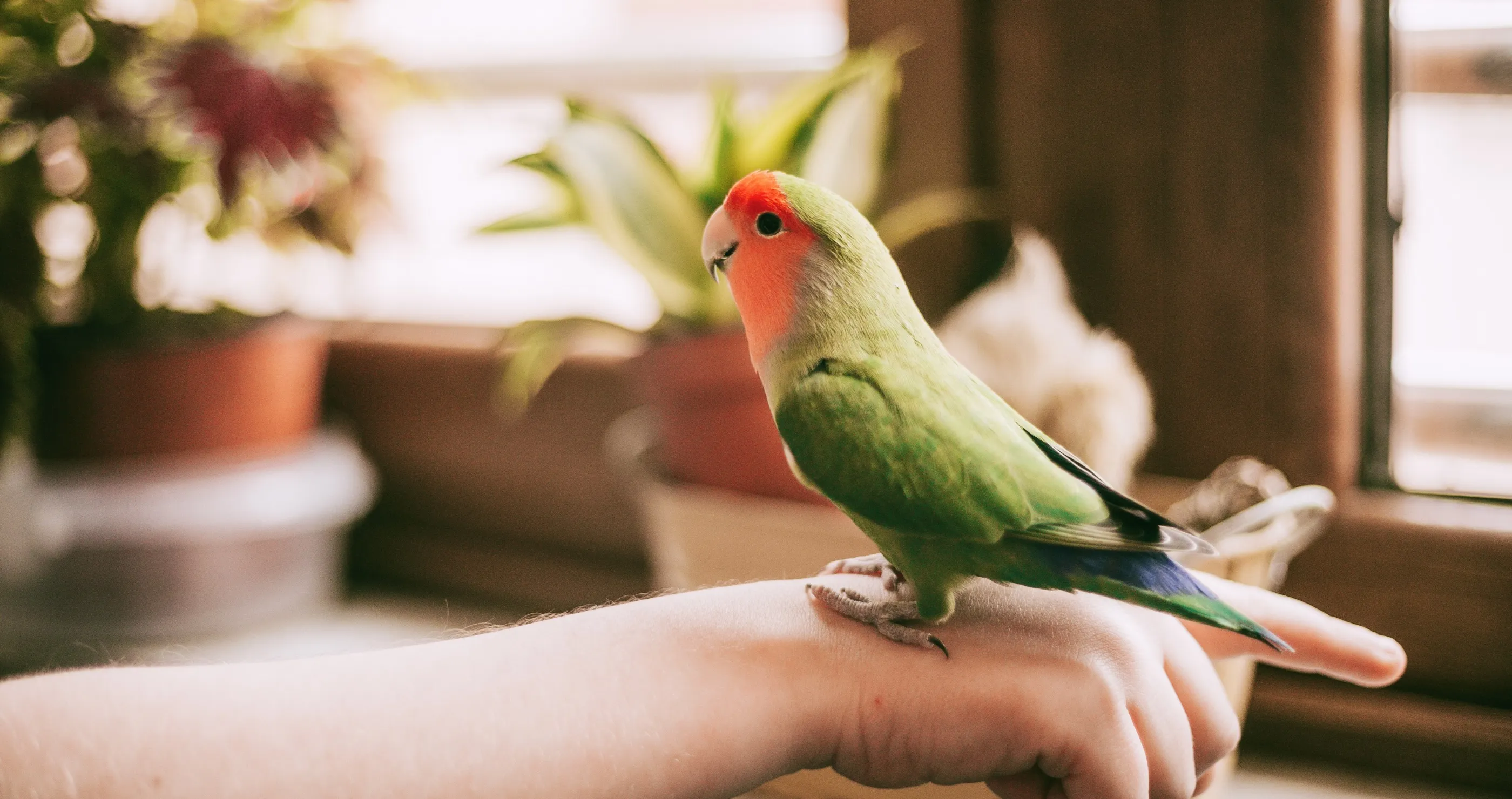 Featured Image