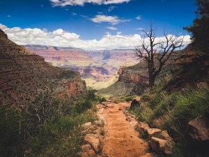 hiker dies heat illness grand canyon