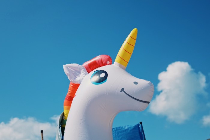bridge unicorn floatie