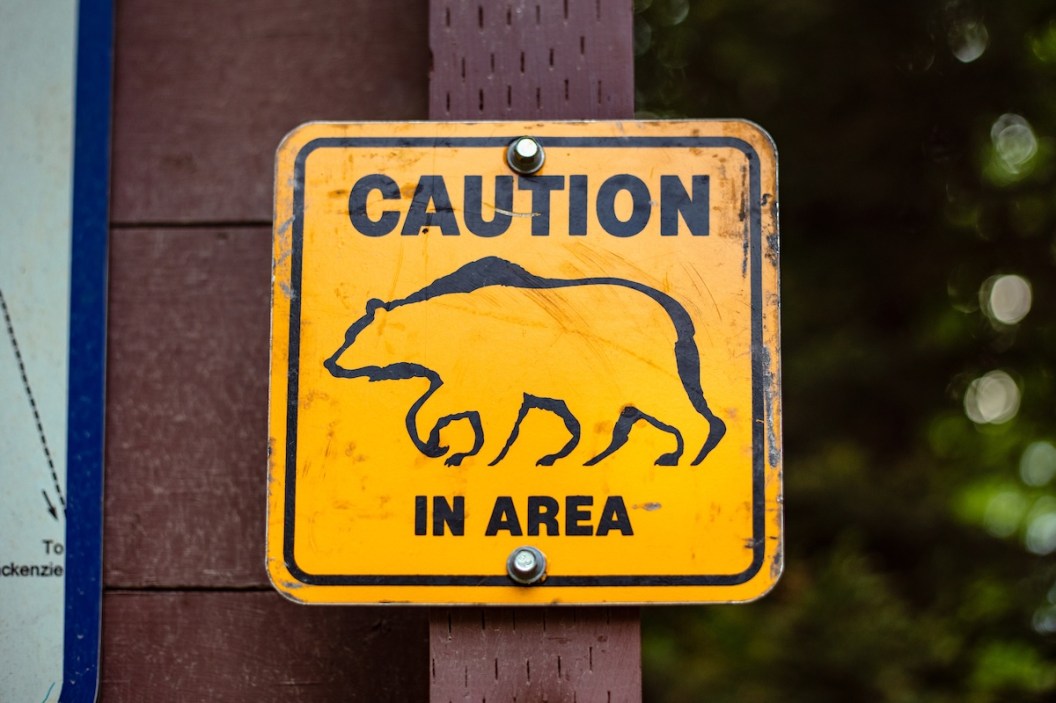 bear rv campground