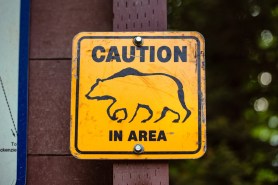 bear rv campground