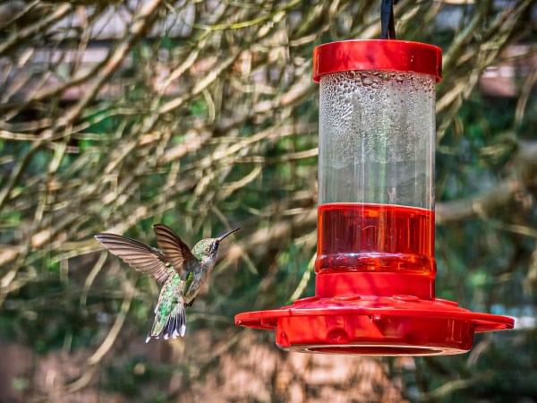 bear hummingbird feeder
