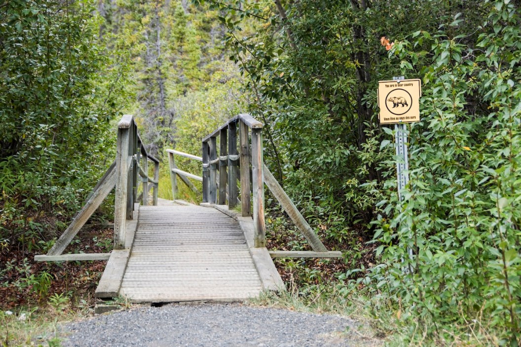 bear bridge