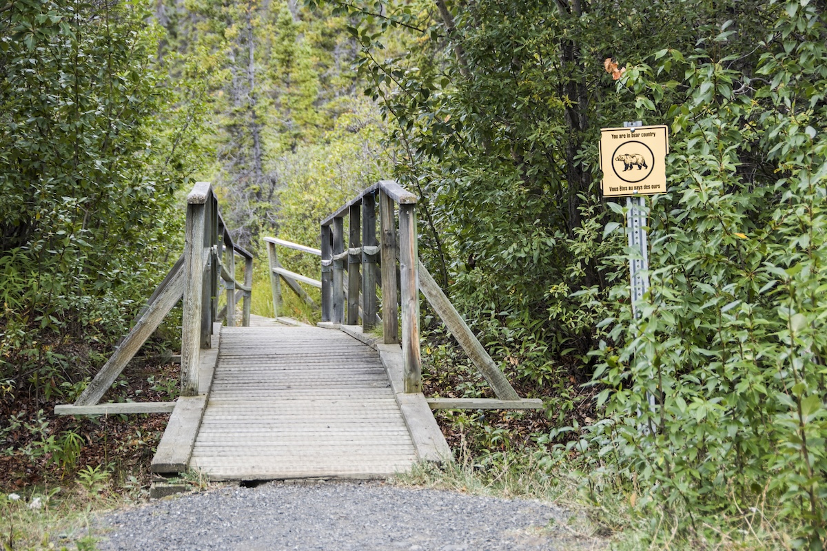 bear bridge