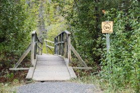 bear bridge