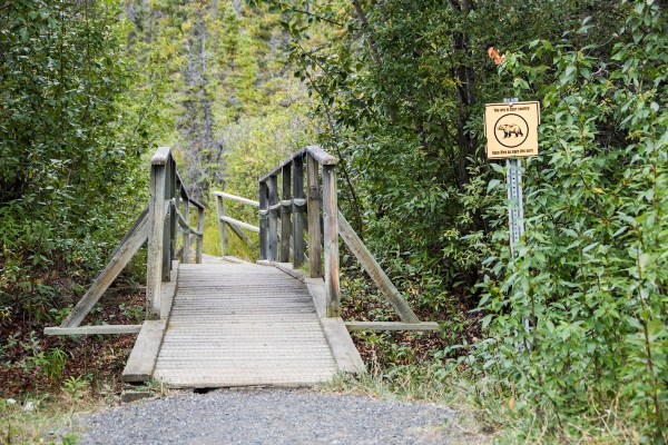 bear bridge