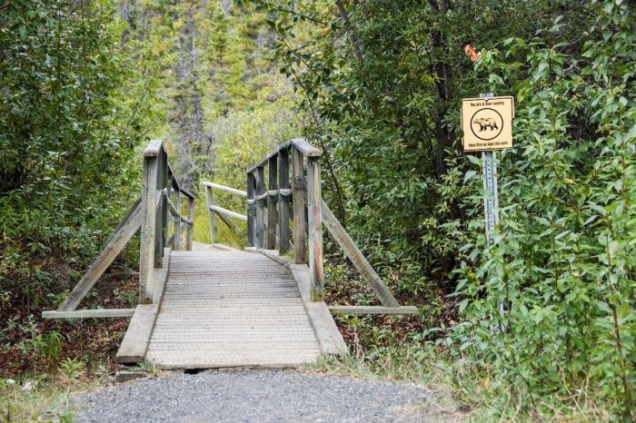 bear bridge