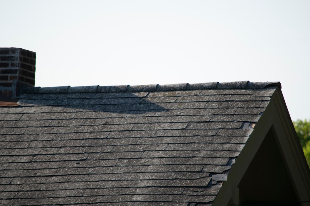 bobcat roof