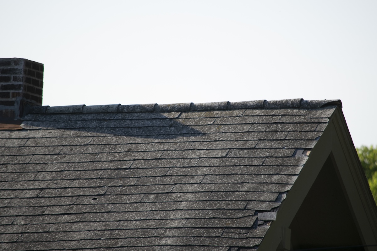 bobcat roof