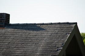 bobcat roof